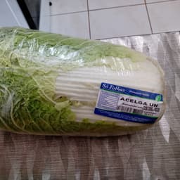 só folhas