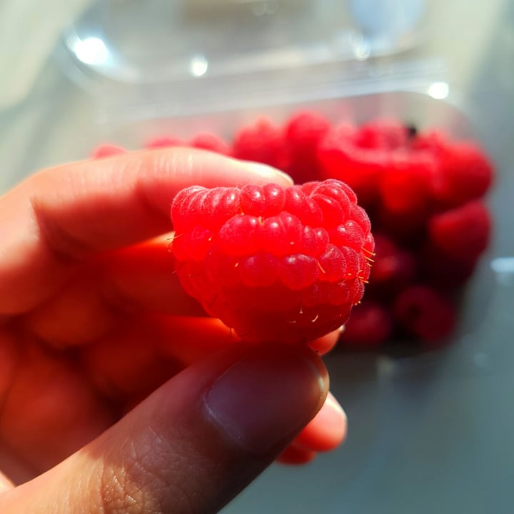 photo of Woolworths Food Raspberries shared by @greenbeang on  14 Jun 2021 - review