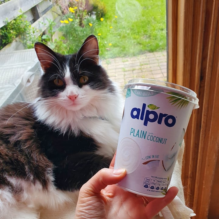 photo of Alpro Plain with Coconut shared by @angelazevedo on  09 Apr 2022 - review
