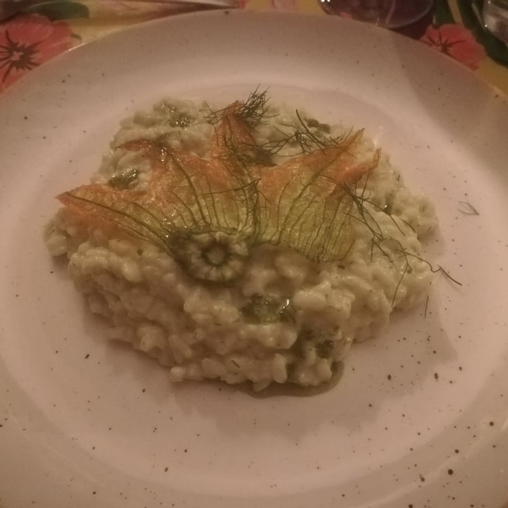 photo of Pitagora Locanda Vegana Risotto Di Riso Semilavorato S. Andrea Dell'azienda Agricola Marta Sempio Con Zucchine, Il Loro Fiore, Erbe Aromatiche E Crema Fermentata Di Anacardi shared by @manupip on  18 Jul 2022 - review