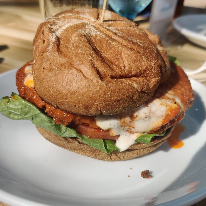 photo of The Cider Press Café Buffalo Chick’n Sandwich shared by @bananasmoothie on  30 Nov 2020 - review