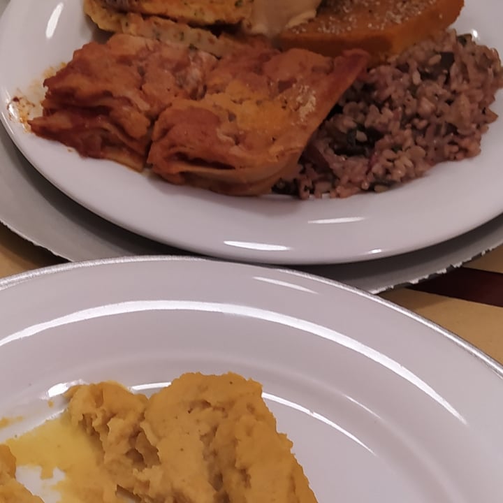photo of CIBO' Vegan food Piatto Misto shared by @susanita on  18 Nov 2022 - review