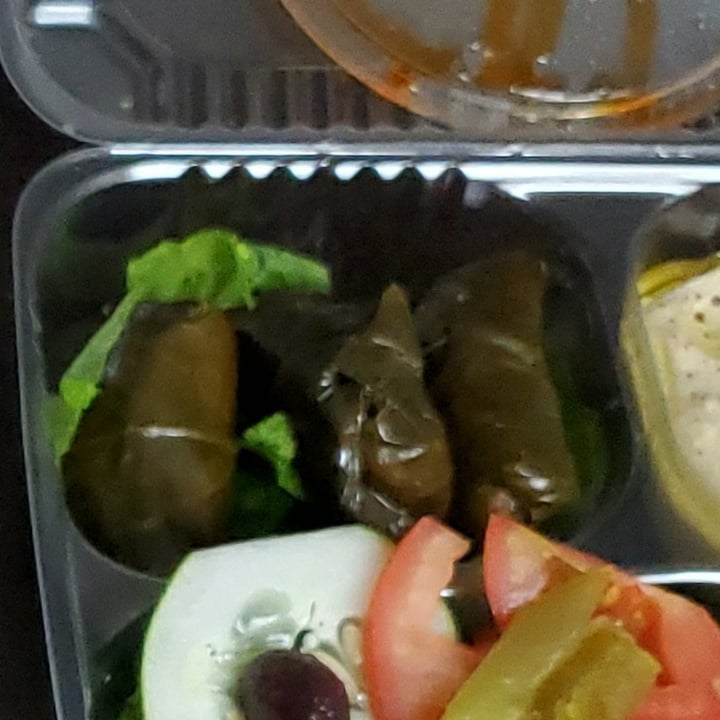 photo of Gyro King Stuffed Grape Leaves shared by @meghdubbs on  20 Aug 2020 - review