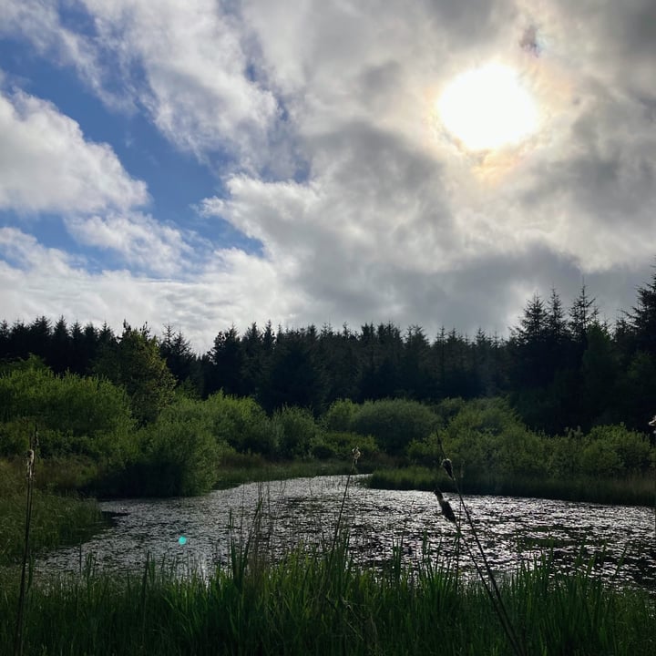 review photo shared by @hollya113 on 27 May 2022 - post