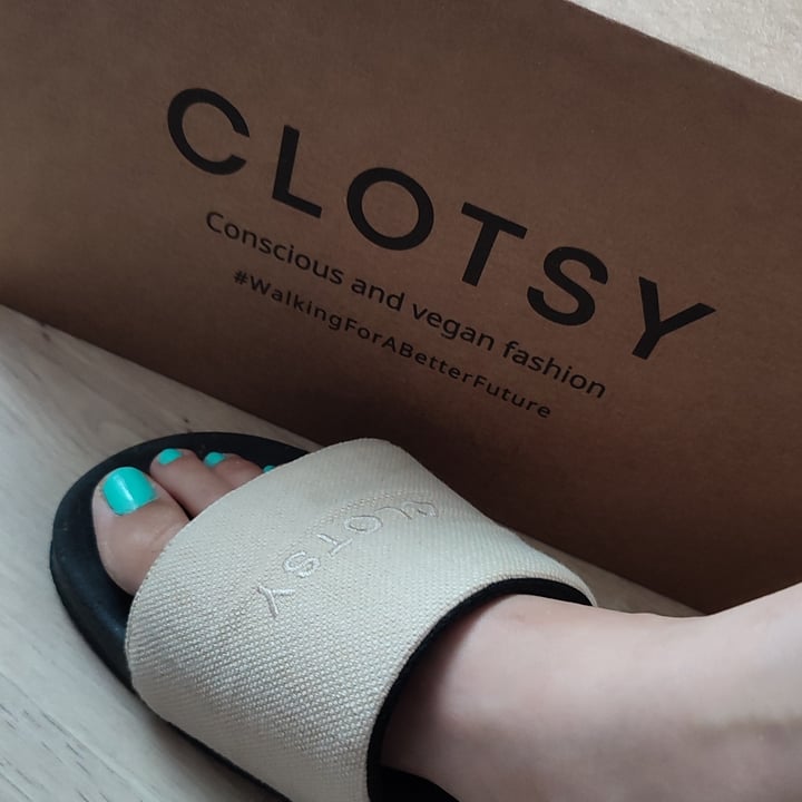 review photo of Clotsy Brand Chanclas shared by @pickyrabbit on 08 Jul 2022 - review