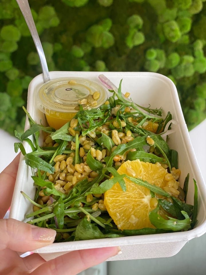 review photo of Little Farms - Island-wide Delivery Whole Grain Freekah Salad shared by @dearalyne on 09 Jun 2020 - review