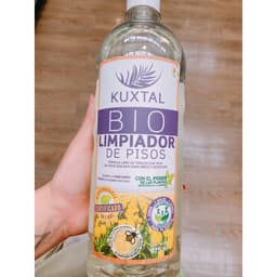 Kuxtal