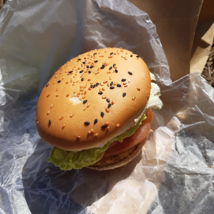 photo of Hare Krishna Vegano hamburguesa de calabaza, avena y chia shared by @gubbalo on  20 Jul 2021 - review