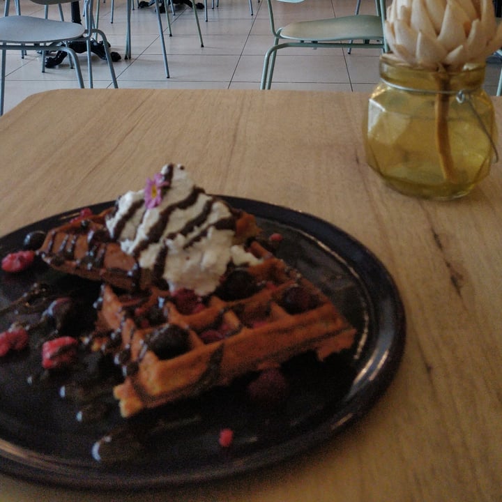 photo of Lexi's Healthy Eatery Vanilla protein waffles shared by @adelesalle on  31 Jan 2021 - review