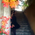 alecalcifer @alecalcifer profile image
