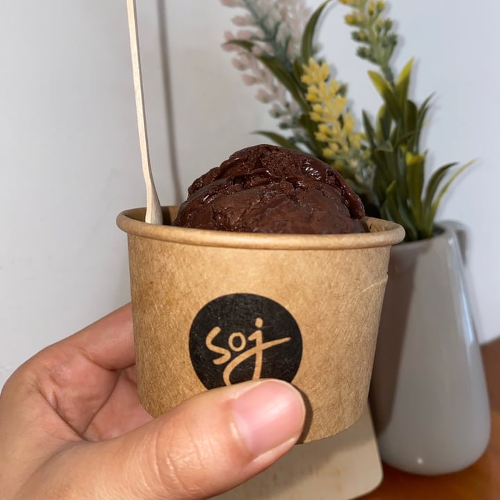 photo of Scoop of Joy Dark Chocolate Sorbet shared by @yeeperjeepers on  05 Jul 2021 - review