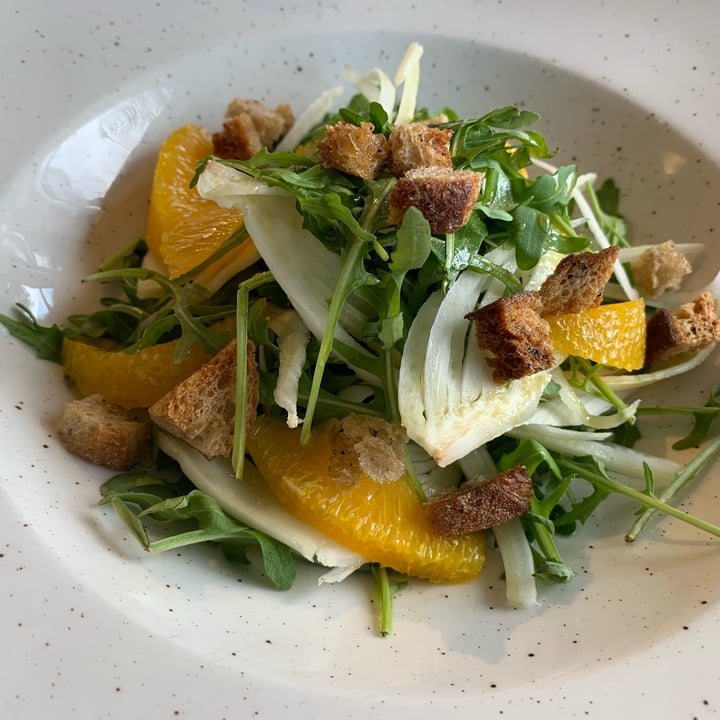 photo of TWELVE EATERY fennel orange salad shared by @owlieflies-pride on  30 Oct 2022 - review