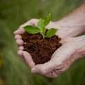 brujitavegan @brujitavegan profile image