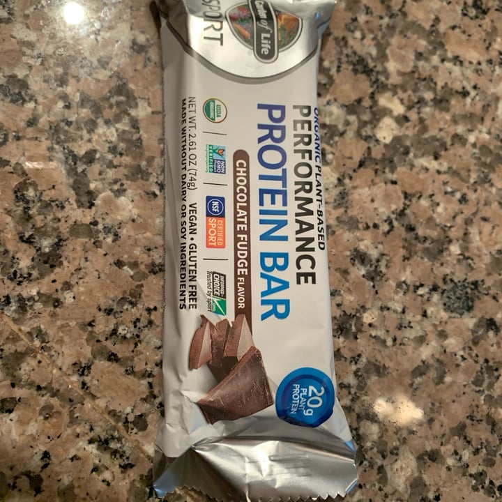 photo of Garden of Life Chocolate Fudge Performance Protein Bar shared by @drichi on  10 May 2022 - review