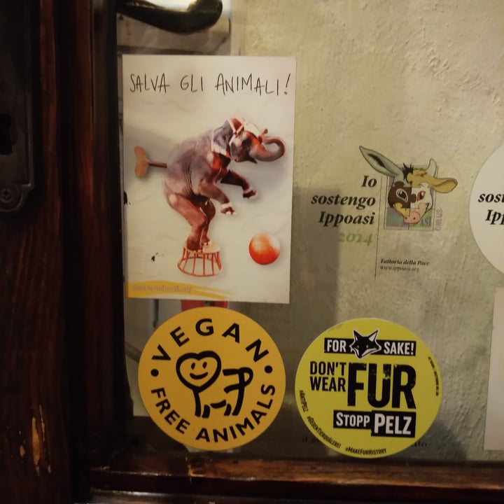 photo of Vegan come koala Kebab di seitan shared by @danidemartini on  21 Jun 2022 - review