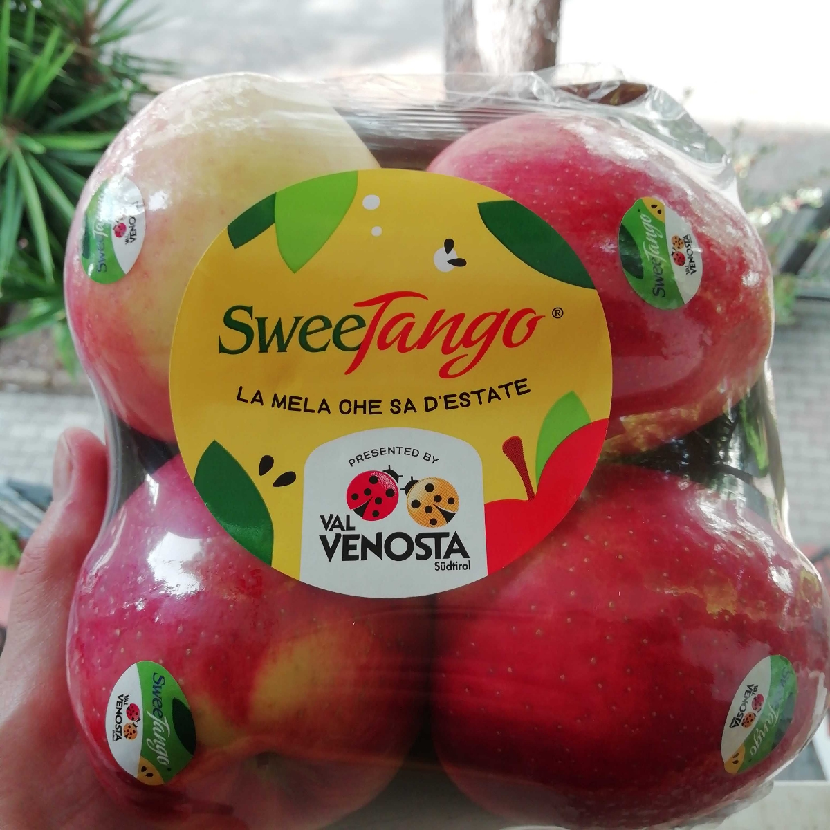 Valvenosta Mela Reviews abillion