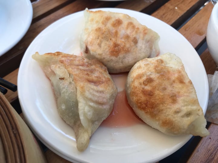 photo of Bodhi Restaurant Panfried cabbage dumplings shared by @veganxoxo on  27 Oct 2019 - review