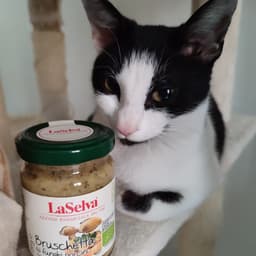 LaSelva