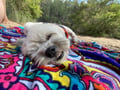 marsy @marsy profile image