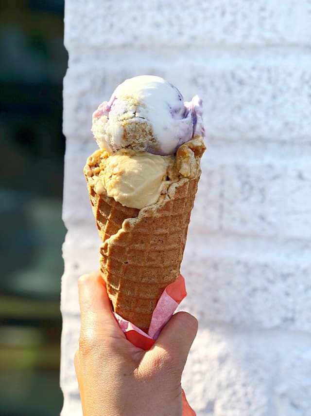 Foto del piatto “Vegan Ice Cream and GF Waffle Cone”