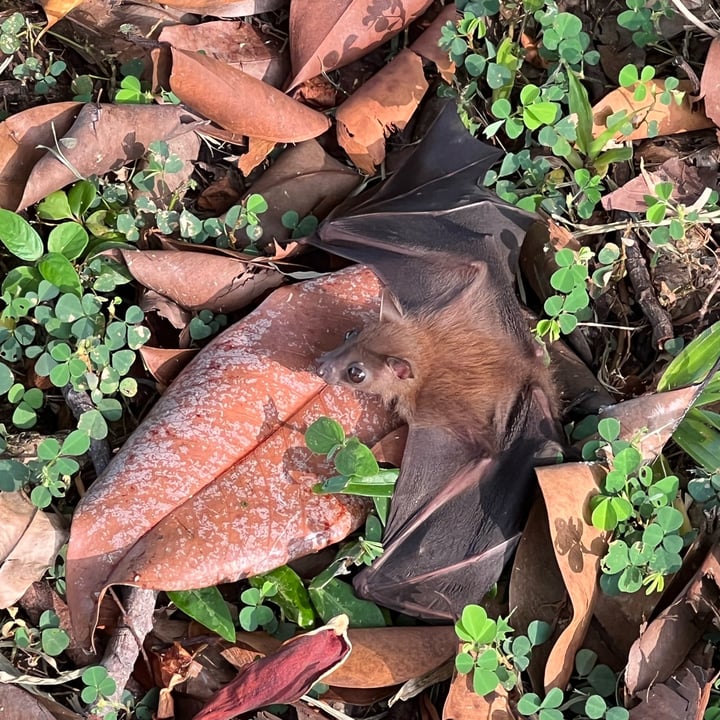 review photo shared by @claudben on 25 May 2022 - post