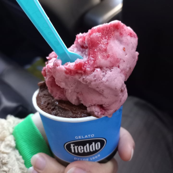 photo of Freddo helado notco de mousse de frambuesa y chocolate con maracuyá shared by @phoebe123 on  19 Jun 2022 - review