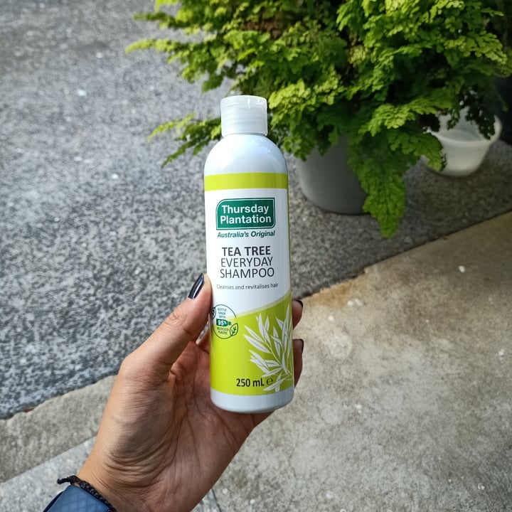 photo of Thursday Plantation Tea Tree Everyday Shampoo shared by @weeney on  11 Mar 2022 - review