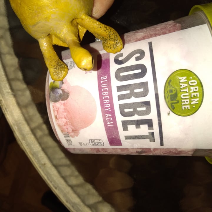 photo of Open Nature Blueberry Acai Sorbet shared by @honeyisntvegan on  27 Jun 2021 - review