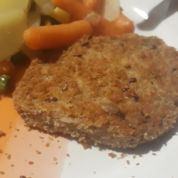 photo of Fry's Family Food 4 Soy & Flaxseed Schnitzels shared by @anameier on  30 Jan 2021 - review