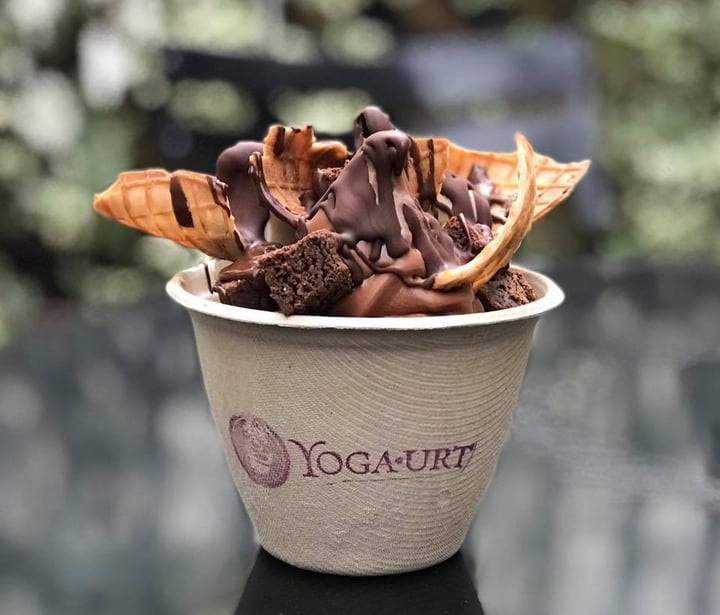 photo of Yoga-urt Ganesha's Sweet Greens shared by @thedaringvegan on  08 Jan 2018 - review