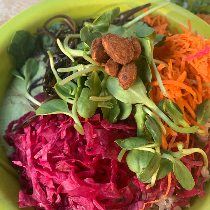 photo of Cafe Gratitude Macrobiotic Bowl shared by @vidisharai on  15 Jul 2021 - review