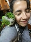 miliforanimals @miliforanimals profile image