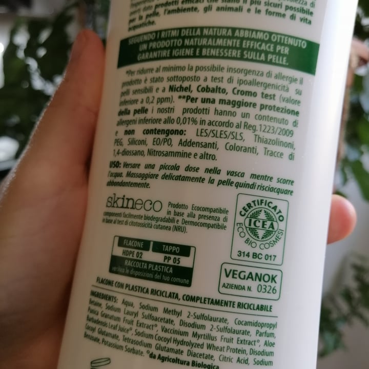 review photo of Winni's Bagnoschiuma shared by @vegaia29 on 15 Dec 2021 - review