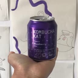 Kombucha Kat