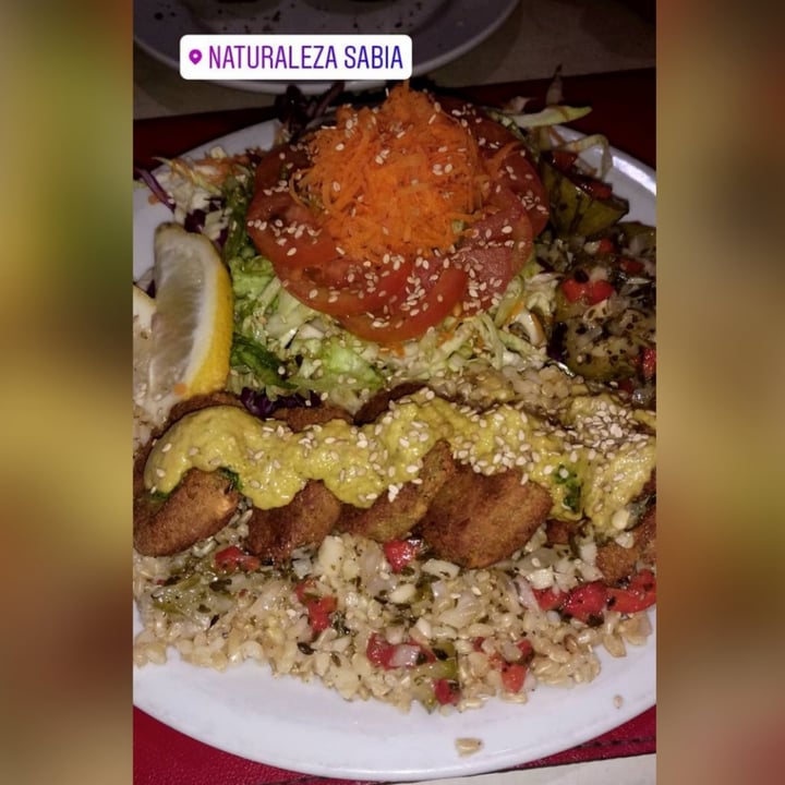 photo of Naturaleza Sabia Albondigas ( veganas) con salsa, con yamani y verduras shared by @daianagonzalez on  04 May 2021 - review