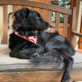 lafrago @lafrago profile image