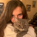 ludoo @ludoo profile image
