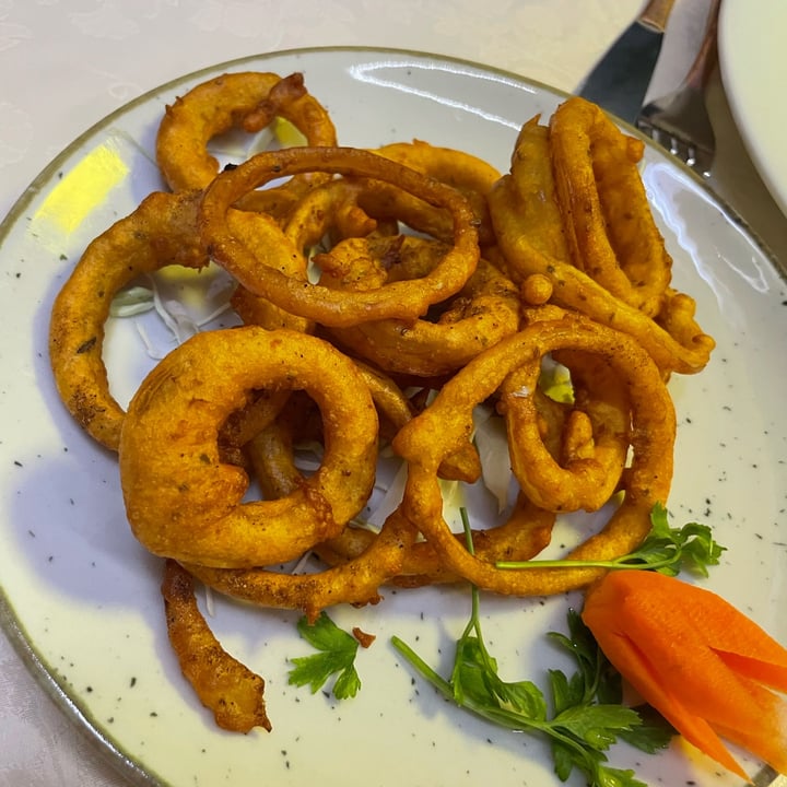 photo of Gandhi, Ristorante tipico Indiano Pisa, Gandhi, typical Indian Restaurant Pisa. Onion Bhaji shared by @fioredicampo on  29 Sep 2022 - review