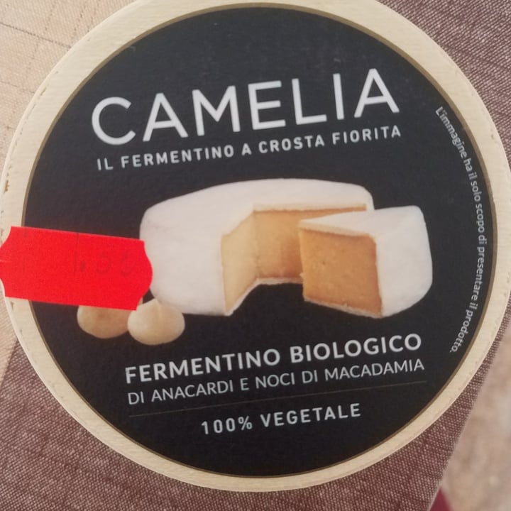 photo of Camelia Fermentino a crosta fiorita shared by @vicanarc on  13 Oct 2021 - review