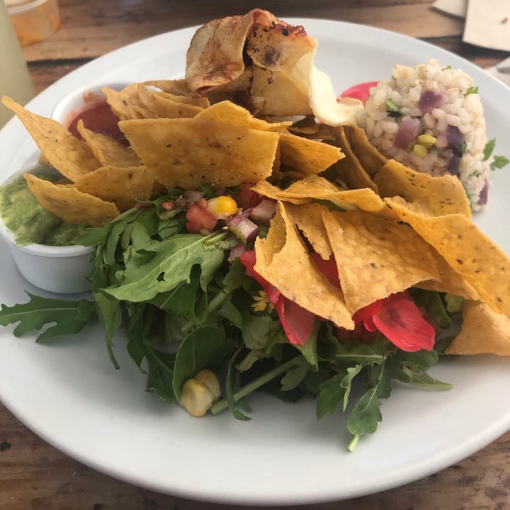 review photo of Artemisia Mexicano shared by @micalallopizzi on 10 Mar 2021 - review