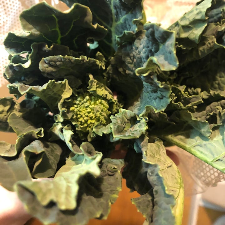 review photo of Ozaki supermarket Shimokitazawa Aletta shared by @zaira on 05 Mar 2021 - review