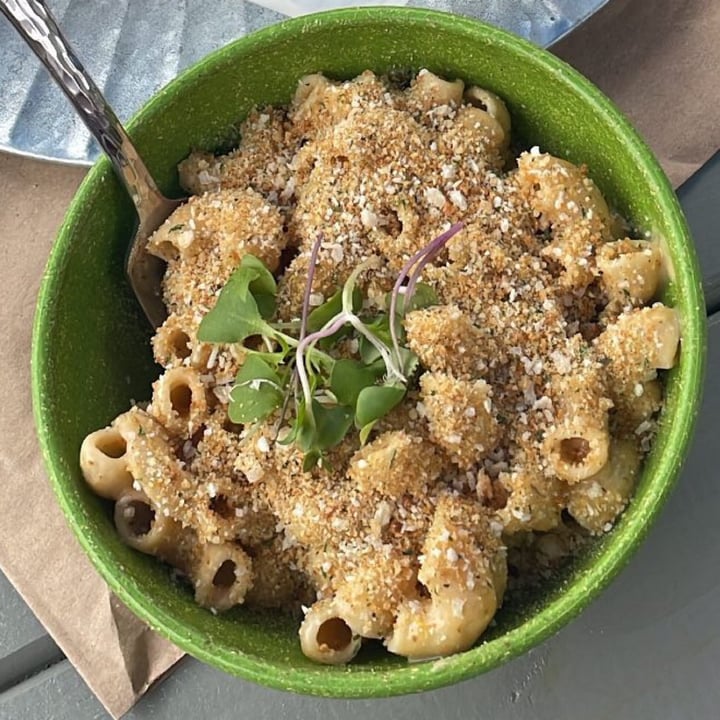 photo of Café BōKU Mac And Cheese shared by @shinypenny on  07 Feb 2022 - review