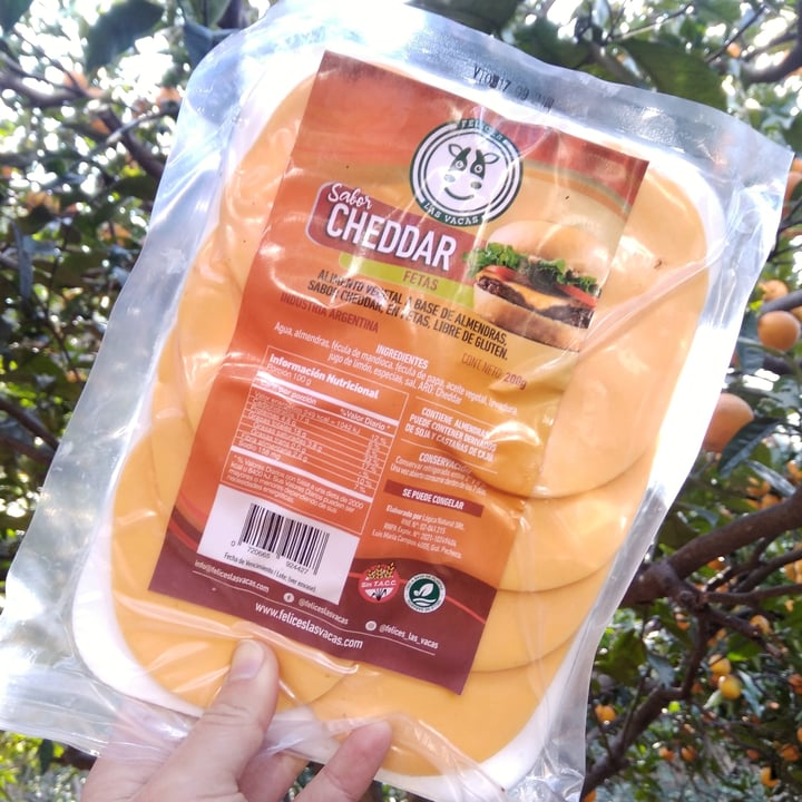 photo of Felices Las Vacas Queso Cheddar en Fetas shared by @petitsaltamontes on  18 Jul 2021 - review