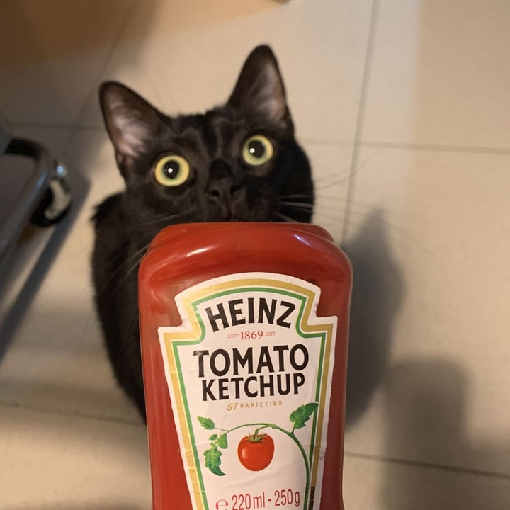photo of Heinz Tomato Ketchup shared by @evix on  23 Dec 2020 - review