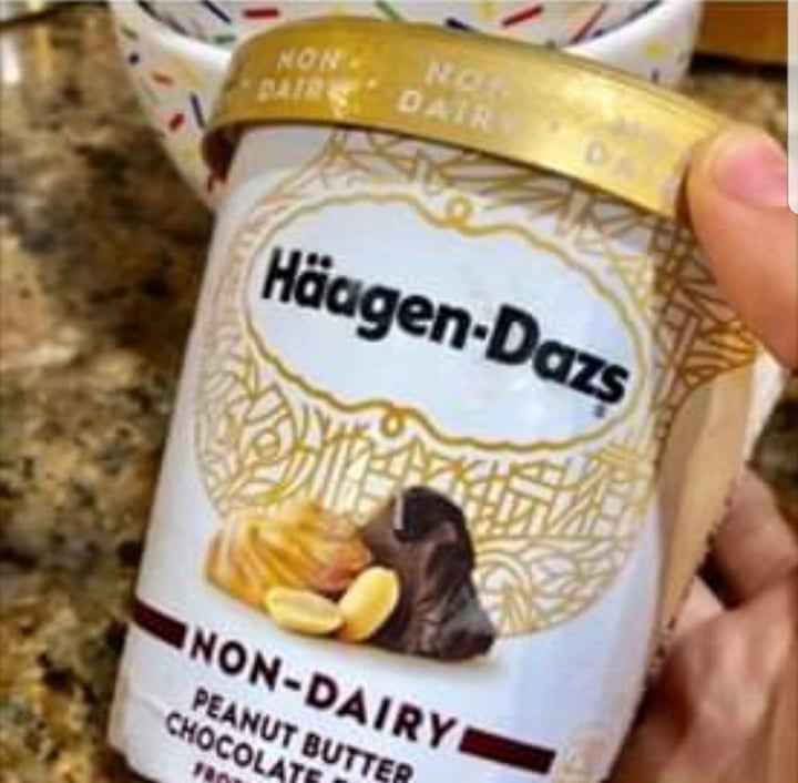 photo of Häagen-Dazs Peanut Butter Chocolate Fudge Non-Dairy shared by @yonijones on  09 Jan 2020 - review