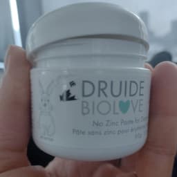 Druide