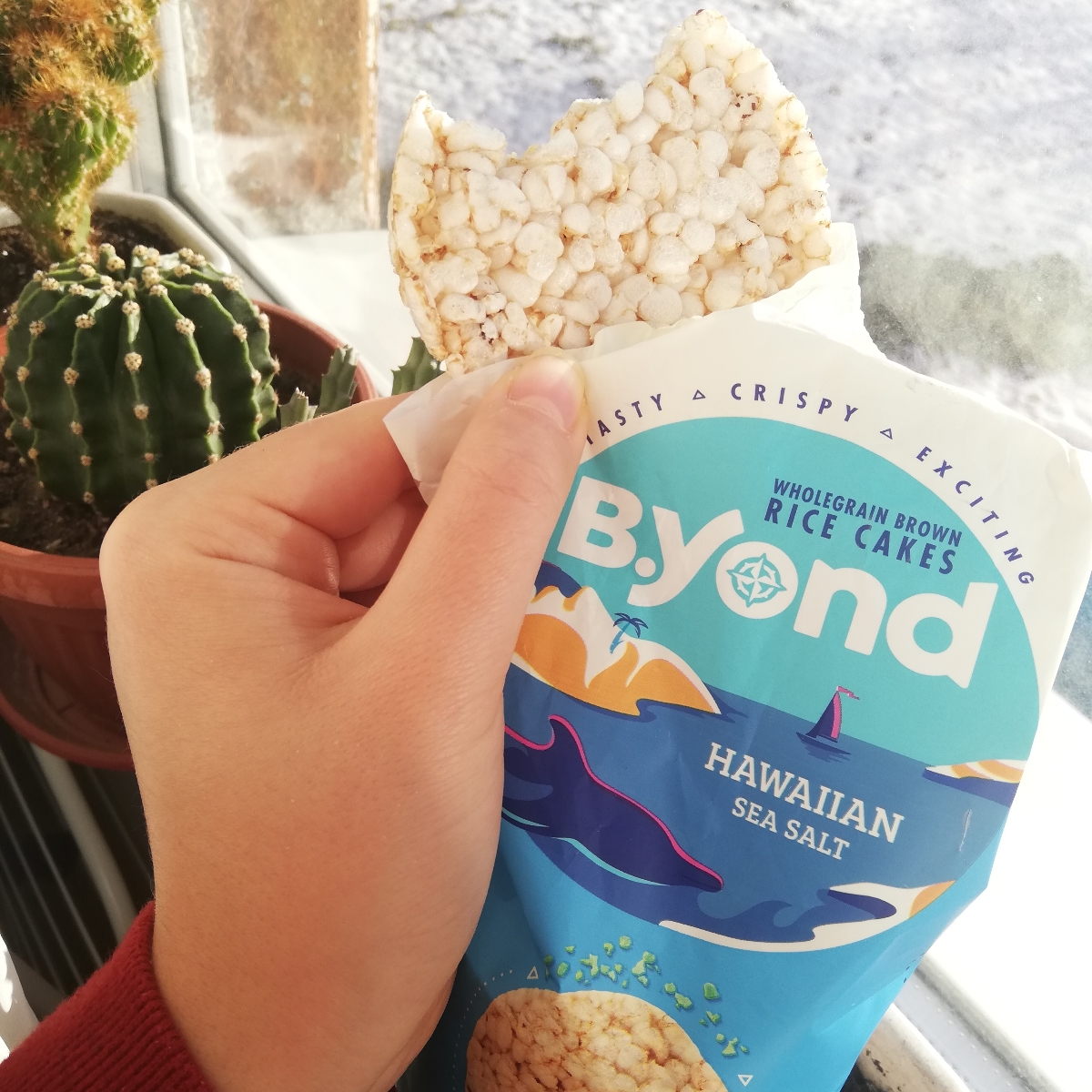 Ficosota food B.yond Rice Cakes Reviews | abillion