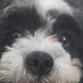 @rebecca21j profile image