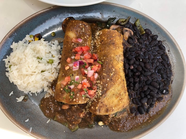 review photo of El Alma Veggie Verde Enchiladas shared by @nikki on 09 Jul 2019 - review
