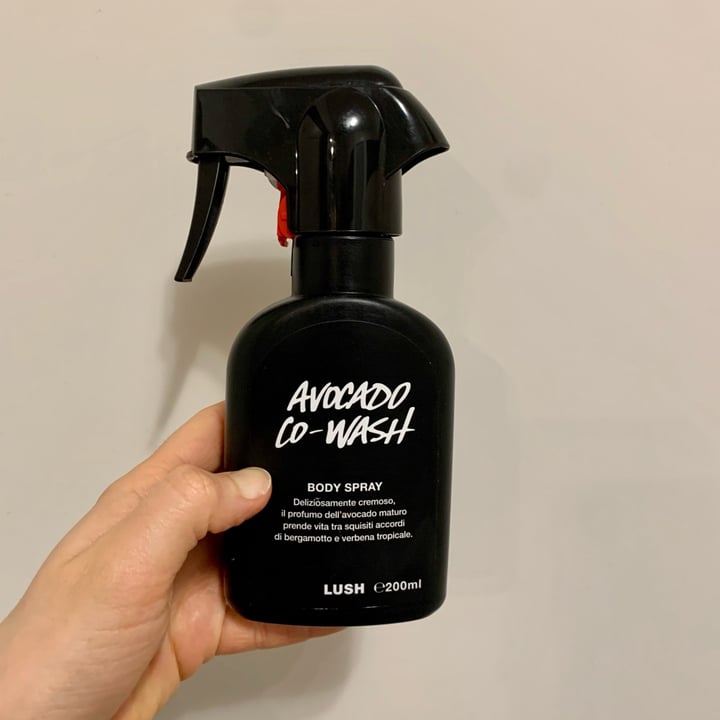 photo of LUSH Fresh Handmade Cosmetics Avocado co wash parfume shared by @ilmondodilau on  07 Apr 2022 - review